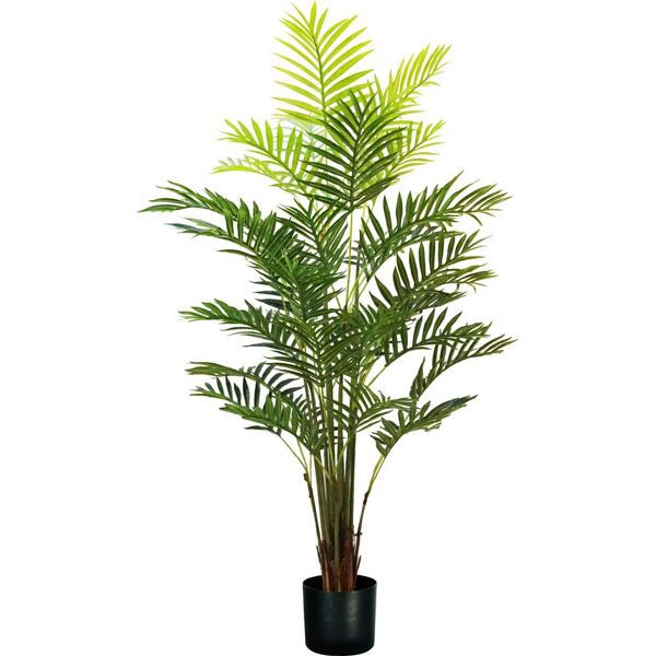 king home p2150609 pianta palma areca h. 160 cm 33 foglie vaso con muschio - p2150609