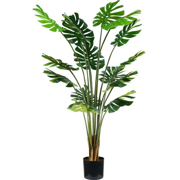 king home p2150624 pianta monstera h. 170 cm 16 foglie vaso con muschio - p2150624