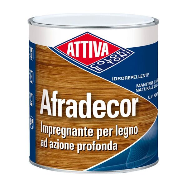 attiva 76100 000 vernice 5.0 130 incolore afradecor - 76100 000