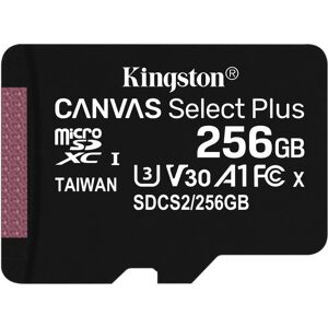 Kingston Sdcs2/256gb Sd Micro 256gb Cl10 Uhs-i Con Adatt 100mb/s Let.85mb/s Scrit. - Sdcs2/256gb