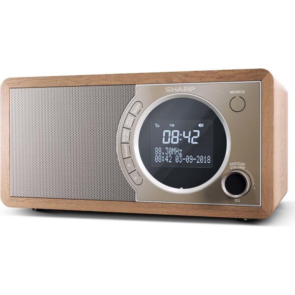 sharp dr-450br radio digitale dab / dab+ / fm radio portatile display lcd colore marrone - dr-450br