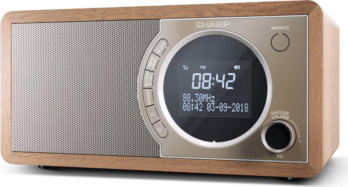 sharp dr-450br radio digitale dab / dab+ / fm radio portatile display lcd colore marrone - dr-450br