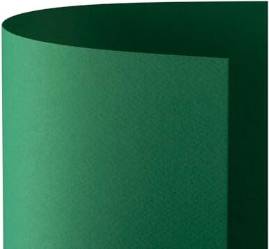 Favini Cartoncino Prisma 220 70x100 cm Verde  (conf.10)