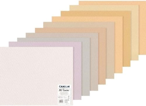 Canson carta Mi-Teintes (Nido-api),Confezione da 10 fogli 160 g/m2, Colori pastello