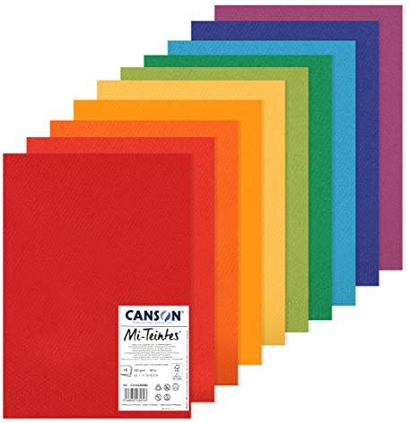 Canson carta Mi-Teintes (Nido-api),Confezione da 10 fogli A3, 160 g/m2, Colori brillanti multicolore