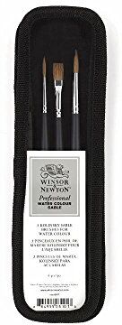 Winsor & Newton Professional Water Colour Sable Brush kit (confezione da 3)