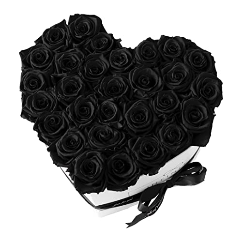 Infinity Cuore XXL – 29 vere rose premium di colore nero – durata 3 anni senza versare   In confezione regalo con fiocco di raso