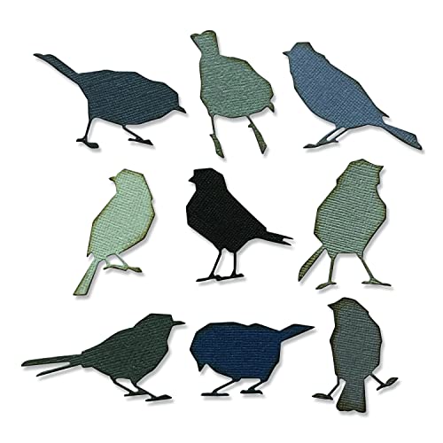 Sizzix Thinlits Die Set 9PK Silhouette Birds di Tim Holtz     Capitolo 2 2022, Multicolor, One Size