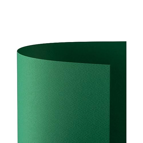 Favini Cartoncino Prisma 220 50x70 cm Verde  (conf.20)