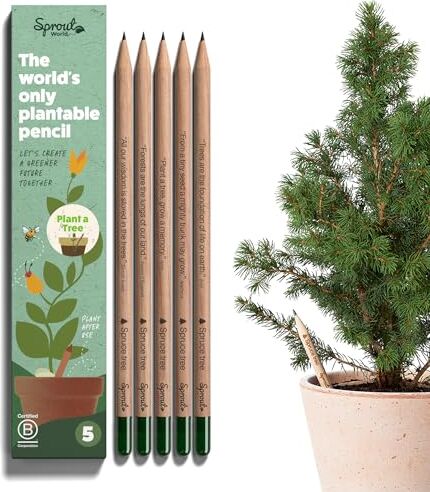 Sprout Matite Grafite   Edizione Plant a Tree   Matite Piantabili con Semi di Abete  Legno ecosostenibile Biologico  Set Regalo Ecologico con Frasi Motivazionali Incise   Confezione da 5