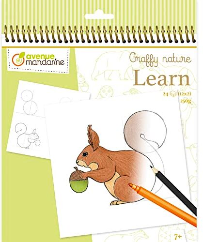 Avenue Mandarine Un diario di disegno a spirale, imparare a disegnare -tema foresta 24 disegni da riprodurre (12 disegni x2) carta da 250 g dai 5 anni  Graffy Learn