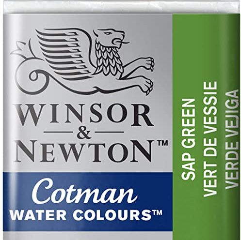 Winsor & Newton 301696 Cotman Colori Acquerello, Viridian, Verde (Sap Green), 1.9x1.6x1.1 cm, 1 unità