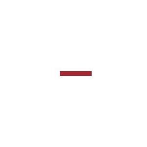 Nastro in raso rosso scuro Prym - Decorativo 3 mm Poliestere Nastro in raso rosso scuro Prym - Decorativo 3 mm Poliestere