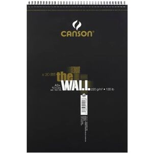 Canson The Wall album spiralato lato corto, carta opaca molto liscia, per illustratori, graffiti e design, 30 fogli, A3+, 200 g/m, bianco, 29.7x43.7 cm Canson The Wall album spiralato lato corto, carta opaca molto liscia, per illustratori, graffiti e design, 30 fogli, A3+, 200 g/m, bianco, 29.7x43.7 cm