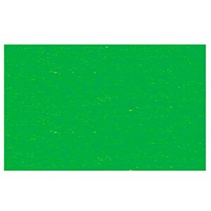 URSUS Cartoncino per fotografie, Formato DIN A4, 300 g/mq, Colore Verde Erba URSUS Cartoncino per fotografie, Formato DIN A4, 300 g/mq, Colore Verde Erba