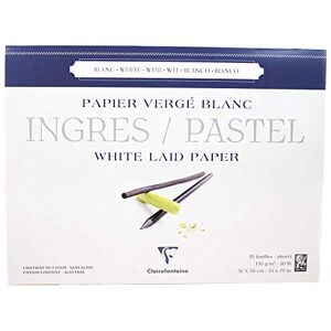 Carta d'arte Clairefontaine 3329680964844 - 25 fogli Carta d'arte Clairefontaine 3329680964844 - 25 fogli