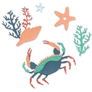 Sizzix Thinlits, set di fustelle Ocean Medley, multicolore, taglia unica Sizzix Thinlits, set di fustelle Ocean Medley, multicolore, taglia unica
