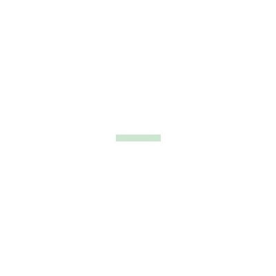 Prym Nastro di raso 38 mm menta Prym Nastro di raso 38 mm menta