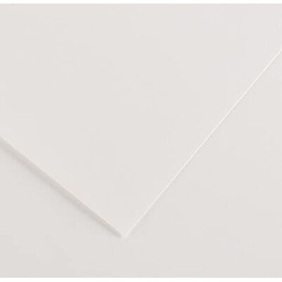 Canson Foglio 70 x 100 (25) Colorline Liscio/Fine 220 g Bianco Canson Foglio 70 x 100 (25) Colorline Liscio/Fine 220 g Bianco
