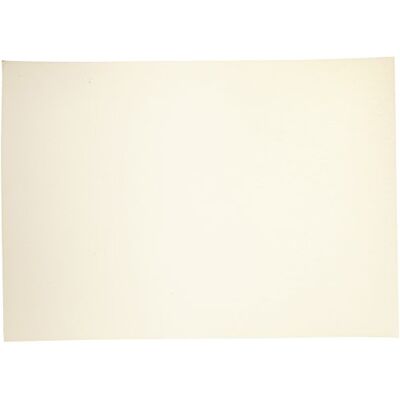 Favini Cartoncino Prisma 220 50x70 cm Avorio A33Q012 (conf.20) Favini Cartoncino Prisma 220 50x70 cm Avorio A33Q012 (conf.20)
