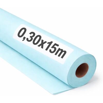 OFITURIA Papel Kraft Azzurro Pastello Rollo 0,30x15m 6 Rotoli Carta da pacchi e carta da regalo, carta da imballaggio per spedizioni e fai-da-te, resistente e facile da tagliare OFITURIA Papel Kraft Azzurro Pastello Rollo 0,30x15m 6 Rotoli Carta da pacchi e carta da regalo, carta da imballaggio per spedizioni e fai-da-te, resistente e facile da tagliare