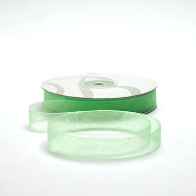 BARATTI Nastro Organza 16mm x 50m Decorativo in Poliestere Trasparente, Per Bomboniere, Regali, Feste, Fai da Te, Matrimonio, Compleanno, Artigianato, Natale, Decorazioni (Verde Mela) BARATTI Nastro Organza 16mm x 50m Decorativo in Poliestere Trasparente, Per Bomboniere, Regali, Feste, Fai da Te, Matrimonio, Compleanno, Artigianato, Natale, Decorazioni (Verde Mela)