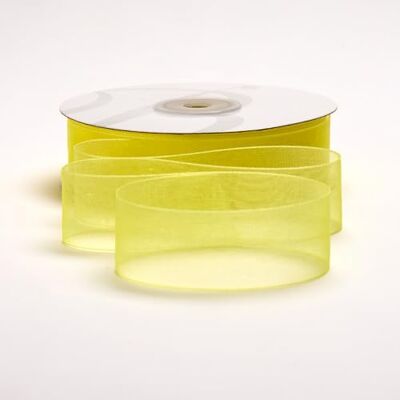 BARATTI Nastro Organza 25mm x 50m Decorativo in Poliestere Trasparente, Per Bomboniere, Regali, Feste, Fai da Te, Matrimonio, Compleanno, Artigianato, Natale, Decorazioni (Giallo) BARATTI Nastro Organza 25mm x 50m Decorativo in Poliestere Trasparente, Per Bomboniere, Regali, Feste, Fai da Te, Matrimonio, Compleanno, Artigianato, Natale, Decorazioni (Giallo)