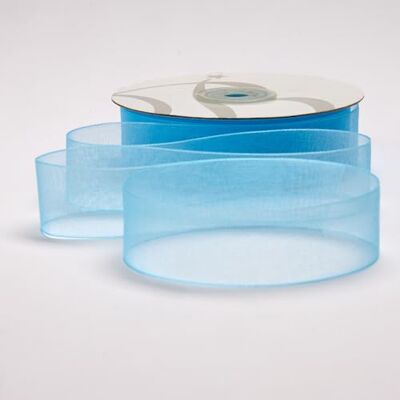 BARATTI Nastro Organza 25mm x 50m Decorativo in Poliestere Trasparente, Per Bomboniere, Regali, Feste, Fai da Te, Matrimonio, Compleanno, Artigianato, Natale, Decorazioni (Celeste) BARATTI Nastro Organza 25mm x 50m Decorativo in Poliestere Trasparente, Per Bomboniere, Regali, Feste, Fai da Te, Matrimonio, Compleanno, Artigianato, Natale, Decorazioni (Celeste)