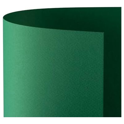 Favini Cartoncino Prisma 220 70x100 cm Verde A33D0A1 (conf.10) Favini Cartoncino Prisma 220 70x100 cm Verde A33D0A1 (conf.10)
