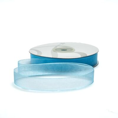 BARATTI Nastro Organza 16mm x 50m Decorativo in Poliestere Trasparente, Per Bomboniere, Regali, Feste, Fai da Te, Matrimonio, Compleanno, Artigianato, Natale, Decorazioni (Celeste) BARATTI Nastro Organza 16mm x 50m Decorativo in Poliestere Trasparente, Per Bomboniere, Regali, Feste, Fai da Te, Matrimonio, Compleanno, Artigianato, Natale, Decorazioni (Celeste)