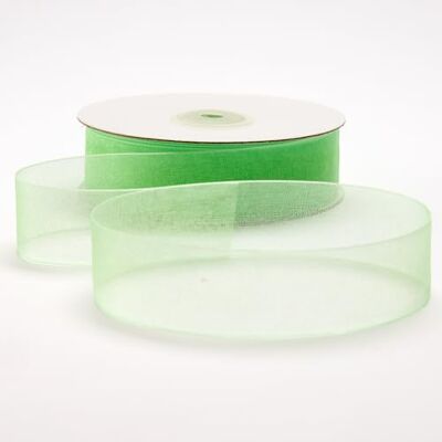 BARATTI Nastro Organza 25mm x 50m Decorativo in Poliestere Trasparente, Per Bomboniere, Regali, Feste, Fai da Te, Matrimonio, Compleanno, Artigianato, Natale, Decorazioni (Verde Mela) BARATTI Nastro Organza 25mm x 50m Decorativo in Poliestere Trasparente, Per Bomboniere, Regali, Feste, Fai da Te, Matrimonio, Compleanno, Artigianato, Natale, Decorazioni (Verde Mela)