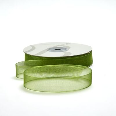 BARATTI Nastro Organza 10mm x 50m Decorativo in Poliestere Trasparente, Per Bomboniere, Regali, Feste, Fai da Te, Matrimonio, Compleanno, Artigianato, Natale, Decorazioni (Verde) BARATTI Nastro Organza 10mm x 50m Decorativo in Poliestere Trasparente, Per Bomboniere, Regali, Feste, Fai da Te, Matrimonio, Compleanno, Artigianato, Natale, Decorazioni (Verde)