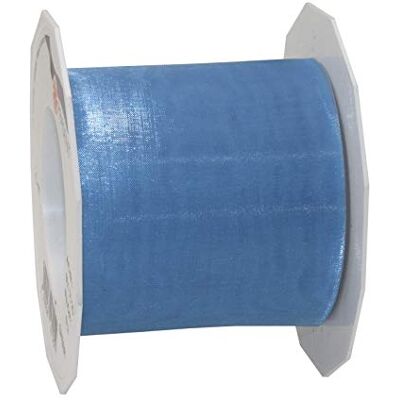 PRÄSENT C.E. PATTBERG SHEER Nastro organza color azzurro, nastro chiffon per pacchi regalo, lungh. 25 m, largh. 72 mm, nastro largo per incartare regali, decorare, bricolage, nastri decorativi tessuto PRÄSENT C.E. PATTBERG SHEER Nastro organza color azzurro, nastro chiffon per pacchi regalo, lungh. 25 m, largh. 72 mm, nastro largo per incartare regali, decorare, bricolage, nastri decorativi tessuto