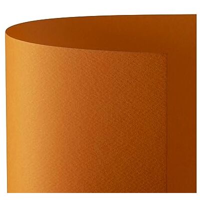 Favini Cartoncino Prisma 220 50x70 cm Arancio A33E012 (conf.20) Favini Cartoncino Prisma 220 50x70 cm Arancio A33E012 (conf.20)