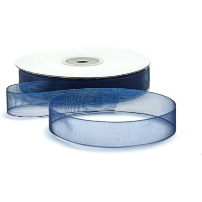 BARATTI Nastro Organza 16mm x 50m Decorativo in Poliestere Trasparente, Per Bomboniere, Regali, Feste, Fai da Te, Matrimonio, Compleanno, Artigianato, Natale, Decorazioni (Blu) BARATTI Nastro Organza 16mm x 50m Decorativo in Poliestere Trasparente, Per Bomboniere, Regali, Feste, Fai da Te, Matrimonio, Compleanno, Artigianato, Natale, Decorazioni (Blu)