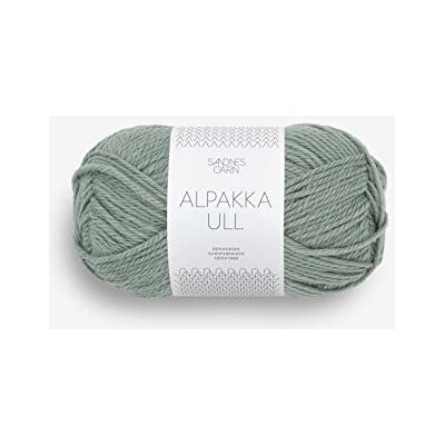 Sandnes Garn Alpakka Ull 8051 Albicocca di circa 100 m, colore: Eucalipto Sandnes Garn Alpakka Ull 8051 Albicocca di circa 100 m, colore: Eucalipto