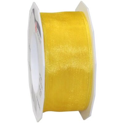 PRÄSENT Four Seasons Nastro Trasparente con Bordo Metallico Giallo, 25 m, in Tessuto Tinta Unita, Larghezza 40 mm, Facile da Piegare per Decorare e Fai da Te, per Occasioni Speciali PRÄSENT Four Seasons Nastro Trasparente con Bordo Metallico Giallo, 25 m, in Tessuto Tinta Unita, Larghezza 40 mm, Facile da Piegare per Decorare e Fai da Te, per Occasioni Speciali