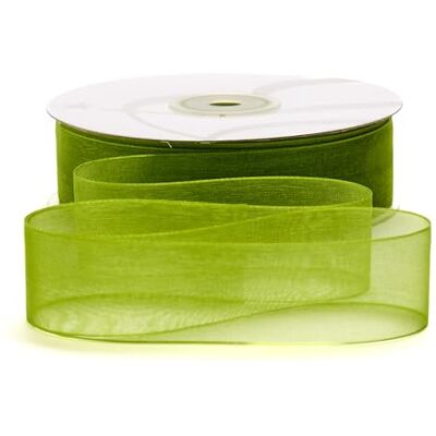 BARATTI Nastro Organza 25mm x 50m Decorativo in Poliestere Trasparente, Per Bomboniere, Regali, Feste, Fai da Te, Matrimonio, Compleanno, Artigianato, Natale, Decorazioni (Verde) BARATTI Nastro Organza 25mm x 50m Decorativo in Poliestere Trasparente, Per Bomboniere, Regali, Feste, Fai da Te, Matrimonio, Compleanno, Artigianato, Natale, Decorazioni (Verde)