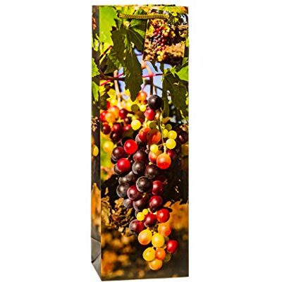 TSI 85285 Sacchetti regalo per vino, 12 pezzi, 36 x 12 x 8 cm TSI 85285 Sacchetti regalo per vino, 12 pezzi, 36 x 12 x 8 cm