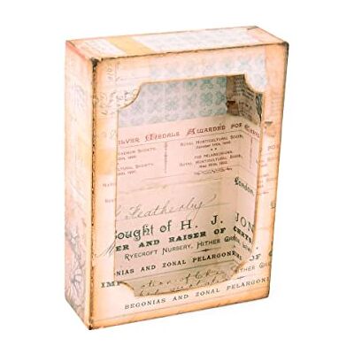 Sizzix Fustella Bigz XL con Framelits, Scatola delle curiosità di Tim Holtz, Multicolore, Taglia unica Sizzix Fustella Bigz XL con Framelits, Scatola delle curiosità di Tim Holtz, Multicolore, Taglia unica