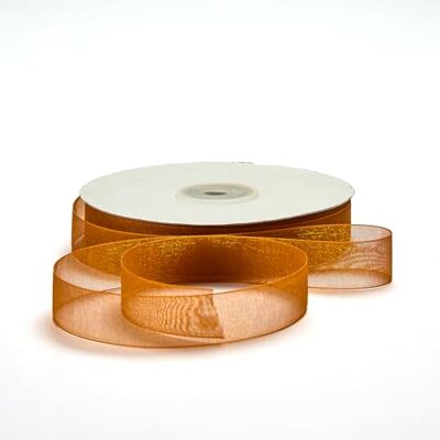 BARATTI Nastro Organza 10mm x 50m Decorativo in Poliestere Trasparente, Per Bomboniere, Regali, Feste, Fai da Te, Matrimonio, Compleanno, Artigianato, Natale, Decorazioni (Rame) BARATTI Nastro Organza 10mm x 50m Decorativo in Poliestere Trasparente, Per Bomboniere, Regali, Feste, Fai da Te, Matrimonio, Compleanno, Artigianato, Natale, Decorazioni (Rame)