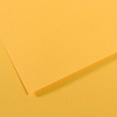 Canson Carta a colori a nido d'ape, 25 fogli A4, 160 g/m², pulsante dorato 400 Canson Carta a colori a nido d'ape, 25 fogli A4, 160 g/m², pulsante dorato 400