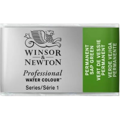 Winsor & Newton Professional Vernici ad acquerello, vivaci e resistenti alla luce, pigmenti per artisti, GODET INTERO, colore: Verde Vescica Permanente Winsor & Newton Professional Vernici ad acquerello, vivaci e resistenti alla luce, pigmenti per artisti, GODET INTERO, colore: Verde Vescica Permanente