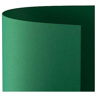 Favini Cartoncino Prisma 220 50x70 cm Verde A33D012 (conf.20) Favini Cartoncino Prisma 220 50x70 cm Verde A33D012 (conf.20)