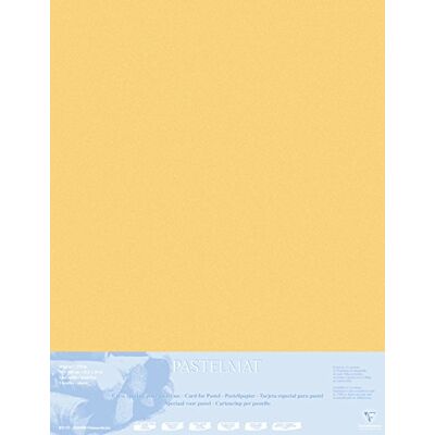Clairefontaine Passepartout Pastelmat, 70 x 100 cm, 5 Fogli, Giallo Clairefontaine Passepartout Pastelmat, 70 x 100 cm, 5 Fogli, Giallo