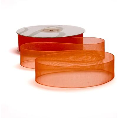 BARATTI Nastro Organza 25mm x 50m Decorativo in Poliestere Trasparente, Per Bomboniere, Regali, Feste, Fai da Te, Matrimonio, Compleanno, Artigianato, Natale, Decorazioni (Arancio) BARATTI Nastro Organza 25mm x 50m Decorativo in Poliestere Trasparente, Per Bomboniere, Regali, Feste, Fai da Te, Matrimonio, Compleanno, Artigianato, Natale, Decorazioni (Arancio)