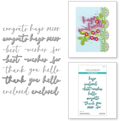 Spellbinders Vivid Script Sentiments Fustelle incise, dalla collezione Vivid Expressions Spellbinders Vivid Script Sentiments Fustelle incise, dalla collezione Vivid Expressions
