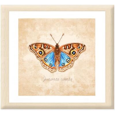 Lanarte Kit Punto Croce Contato JUNONIA COENIA Decorativi Per Pareti 21 x 21 cm Set Fai Da Te Creativo Adulti Ricamo Casa Decor Arte Da Parete Kit Per Hobby Cross Stitch Lanarte Kit Punto Croce Contato JUNONIA COENIA Decorativi Per Pareti 21 x 21 cm Set Fai Da Te Creativo Adulti Ricamo Casa Decor Arte Da Parete Kit Per Hobby Cross Stitch