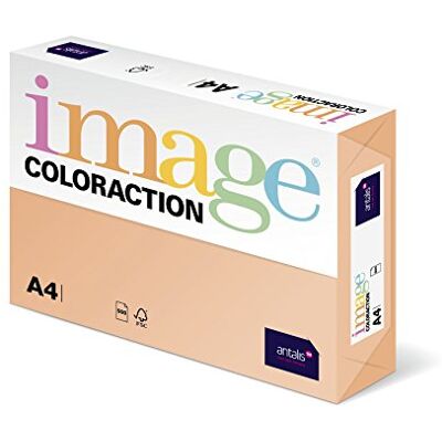 Antalis 838 A 120S 11 – Carta copiativa - A4, 120 g/m², Salmone Antalis 838 A 120S 11 – Carta copiativa - A4, 120 g/m², Salmone