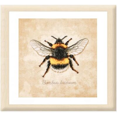 Lanarte Kit Punto Croce Contato BOMBUS LUCORUM Decorativi Per Pareti 21 x 21 cm Set Fai Da Te Creativo Adulti Ricamo Casa Decor Arte Da Parete Kit Per Hobby Cross Stitch Lanarte Kit Punto Croce Contato BOMBUS LUCORUM Decorativi Per Pareti 21 x 21 cm Set Fai Da Te Creativo Adulti Ricamo Casa Decor Arte Da Parete Kit Per Hobby Cross Stitch